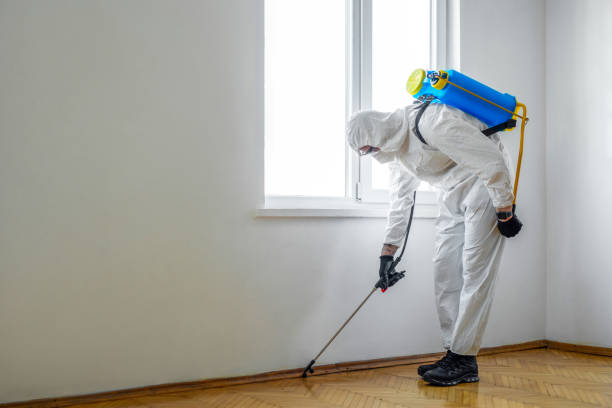 Best Organic or Eco-Friendly Pest Control  in Franklin, LA